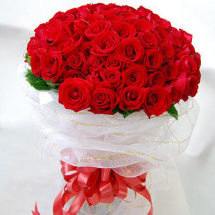 33朵红玫瑰/相爱每一天