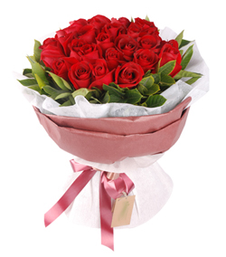 33朵红玫瑰/温柔的爱